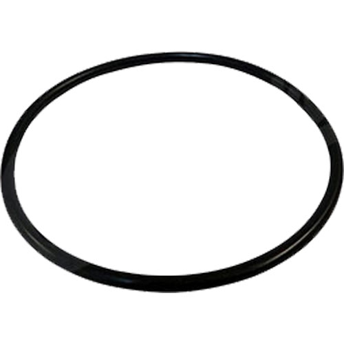 Fuel Module O-Ring 07-15 Compass