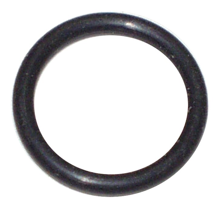 Crankcase Vent O-Ring