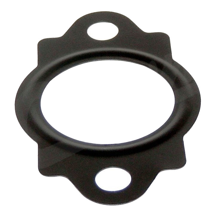 Water Inlet Gasket, 2.4L 2.0L Engines
